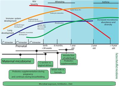 Factors Affecting the Immunity to Respiratory Syncytial Virus: From Epigenetics to Microbiome